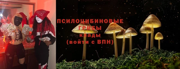 хмурый Вяземский