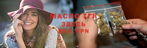 хмурый Вяземский