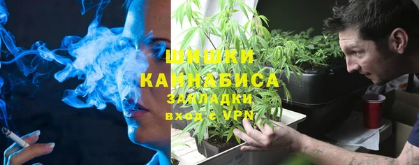 хмурый Вяземский