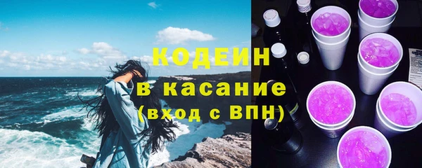 хмурый Вяземский